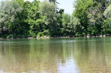 Güzel nehir manzarası ve yaz ormanlarında yeşil ağaçlar.