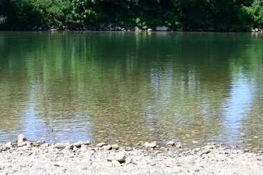 Yazın güzel göl manzarası