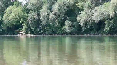 Büyük yeşil ormanı olan güzel bir nehir manzarası. 