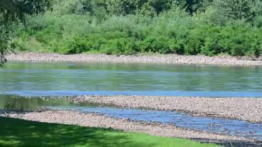 Büyük yeşil ormanı olan güzel bir nehir manzarası. 