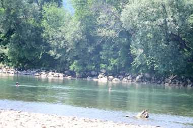Nehir kıyısının yemyeşil manzarası.