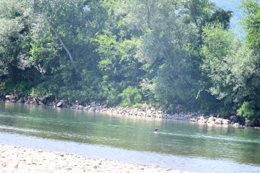 Nehir kıyısının yemyeşil manzarası.