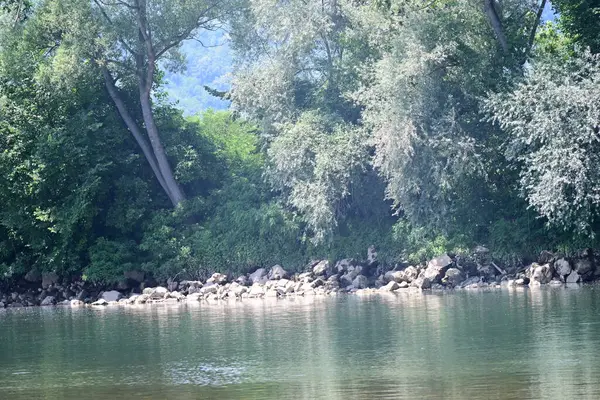 Nehir kıyısının yemyeşil manzarası.