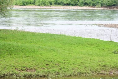 Nehrin ormandaki gündüz görüntüsü