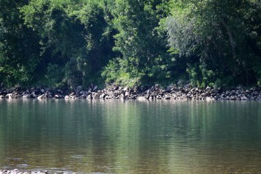 Nehir kıyısının yemyeşil manzarası.