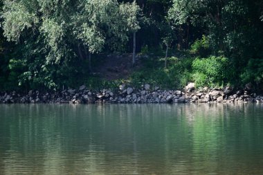 Nehir kıyısının yemyeşil manzarası.
