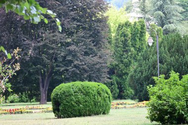 Parkın güzel manzarası 