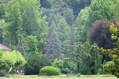 Parkın güzel manzarası 