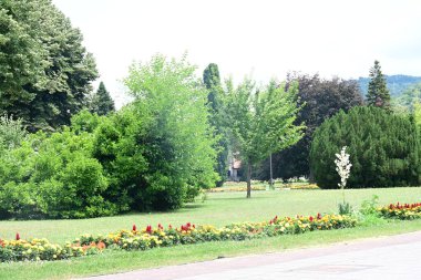 Parkın güzel manzarası 