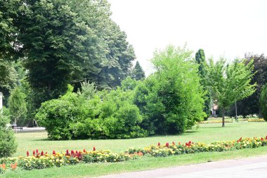 Parkın güzel manzarası 