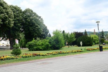 Parkın güzel manzarası 