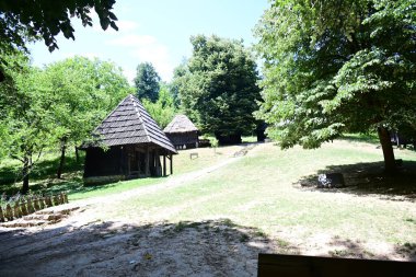 Yazın huzurlu kırsal manzaranın güzel manzarası