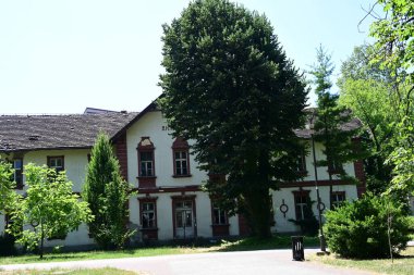 Yazın kırsal manzaranın güzel manzarası