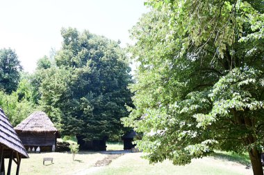 Orman manzaralı güzel manzara 