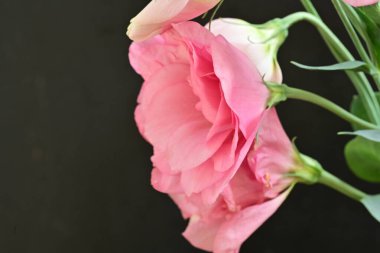 Siyah arkaplanda bir buket yaz çiçeği, yakın çekim manzarası 