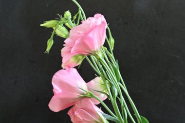 Siyah arkaplanda bir buket yaz çiçeği, yakın çekim manzarası 