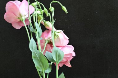 Siyah arkaplanda bir buket yaz çiçeği, yakın çekim manzarası 