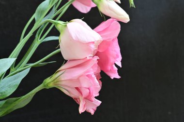 Siyah arkaplanda bir buket yaz çiçeği, yakın çekim manzarası 