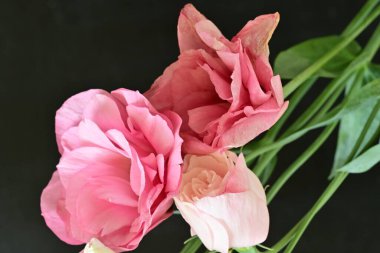 Siyah arkaplanda bir buket yaz çiçeği, yakın çekim manzarası 