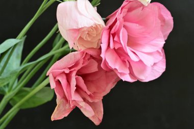 Siyah arkaplanda bir buket yaz çiçeği, yakın çekim manzarası 