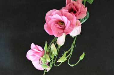 Siyah arkaplanda bir buket yaz çiçeği, yakın çekim manzarası 