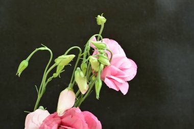 Siyah arkaplanda bir buket yaz çiçeği, yakın çekim manzarası 