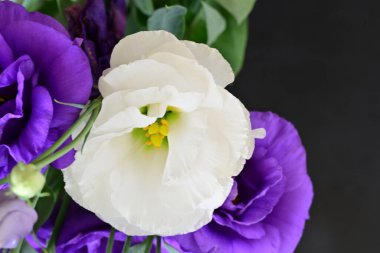 Siyah arkaplanda bir buket yaz çiçeği, yakın çekim manzarası 