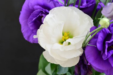 Siyah arkaplanda bir buket yaz çiçeği, yakın çekim manzarası 