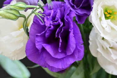 Siyah arkaplanda bir buket yaz çiçeği, yakın çekim manzarası 