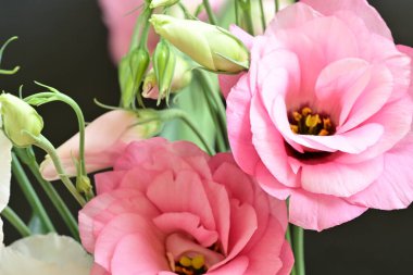 Siyah arkaplanda bir buket yaz çiçeği, yakın çekim manzarası 