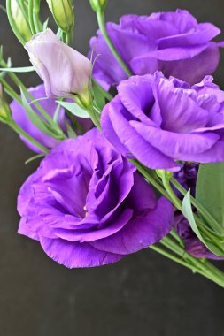 Siyah arka planda mor yaz çiçekleri, yakın plan görüntüsü 