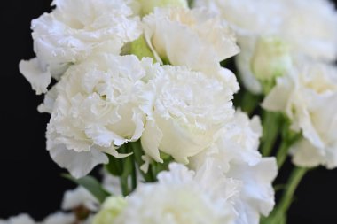 Siyah arka planda beyaz yaz çiçekleri, yakın plan görüntüsü 