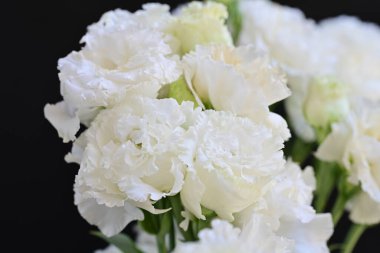 Siyah arka planda beyaz yaz çiçekleri, yakın plan görüntüsü 