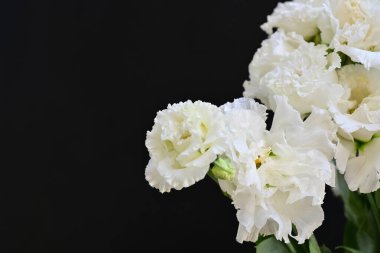 Siyah arka planda beyaz yaz çiçekleri, yakın plan görüntüsü 