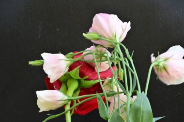 Östoma çiçekleri ve gül yakından. 