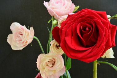 Östoma çiçekleri ve gül yakından. 