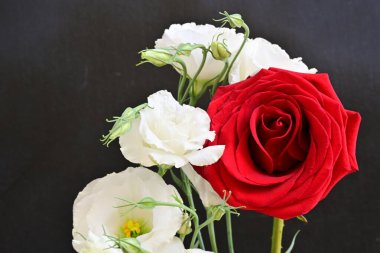 Kırmızı gül ve Eustoma çiçeklerini kapat. 