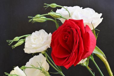 Kırmızı gül ve Eustoma çiçeklerini kapat. 