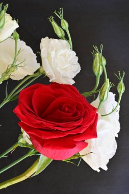 Kırmızı gül ve Eustoma çiçeklerini kapat. 