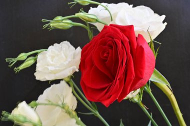 Kırmızı gül ve Eustoma çiçeklerini kapat. 