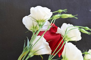 Beyaz Eustoma çiçekleri ve kırmızı gül 