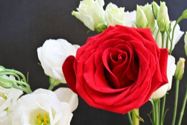 güzel kırmızı gül ve beyaz Eustoma çiçekleri siyah arkaplanda