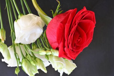 güzel kırmızı gül ve beyaz Eustoma çiçekleri siyah arkaplanda