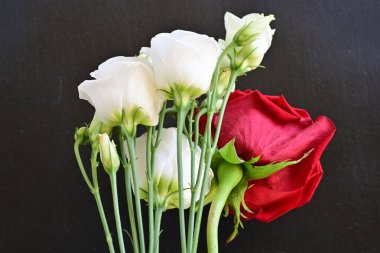 güzel kırmızı gül ve beyaz Eustoma çiçekleri siyah arkaplanda 