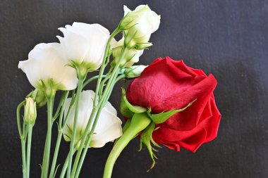 güzel kırmızı gül ve beyaz Eustoma çiçekleri siyah arkaplanda 