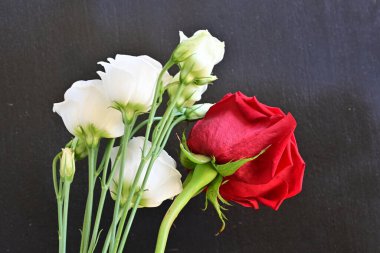 güzel kırmızı gül ve beyaz Eustoma çiçekleri siyah arkaplanda 