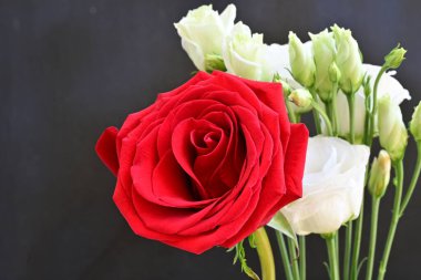 Beyaz Eustoma çiçeklerini ve siyah arkaplanda kırmızı gülü kapat 