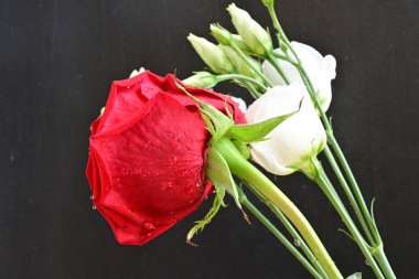 Kırmızı gül ve beyaz Eustoma çiçeklerini kapatın. 