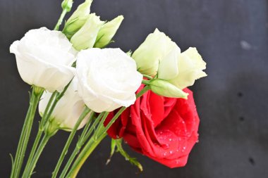 Kırmızı gül ve beyaz Eustoma çiçeklerini kapatın. 