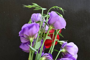 Beyaz arka planda güzel çiçekler